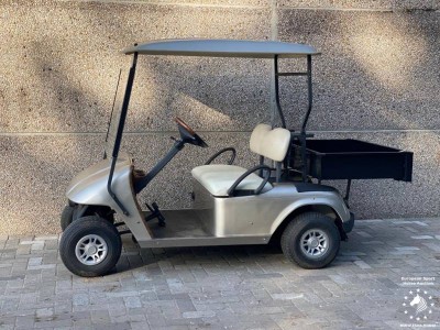 Golf cart pick up truck