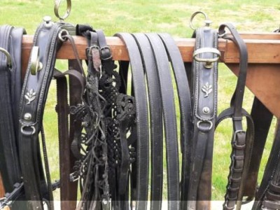 2 horse harness